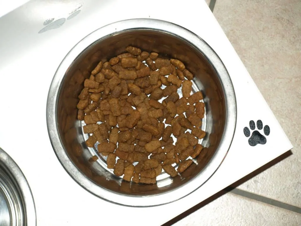 Dog food 1648518085 קערת אוכל