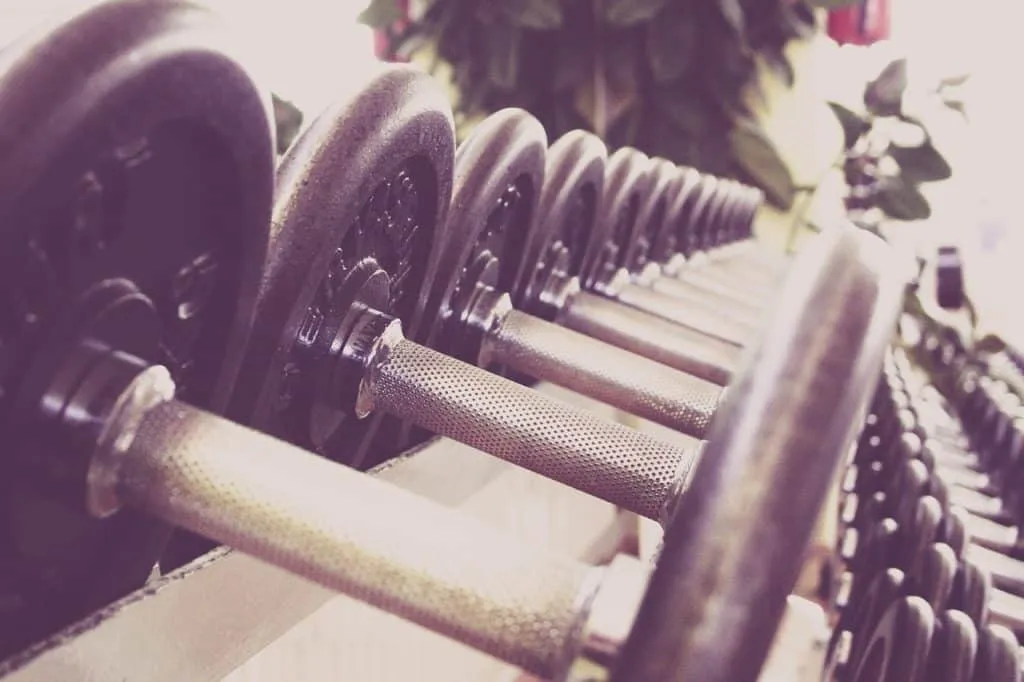 Gym 1639566775 שורה של משקולות