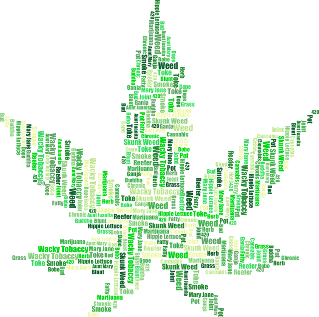 WEED 1573561063