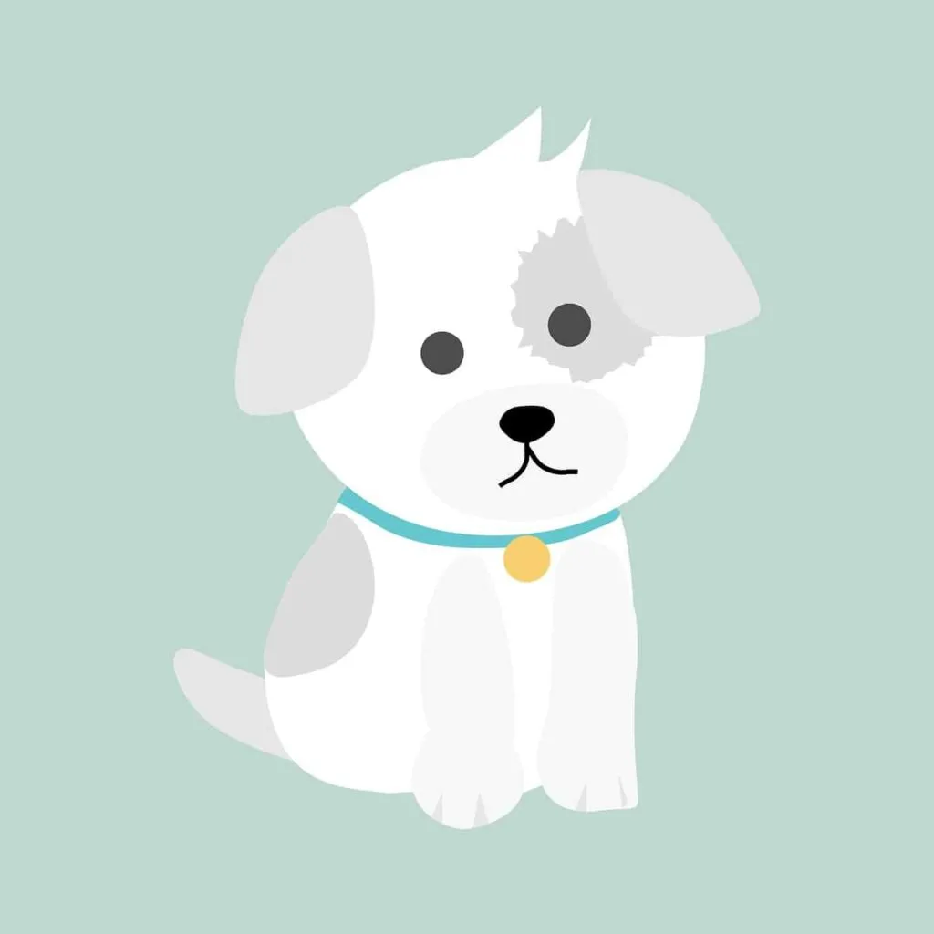 Dog 1575192112 כלב מבוטח