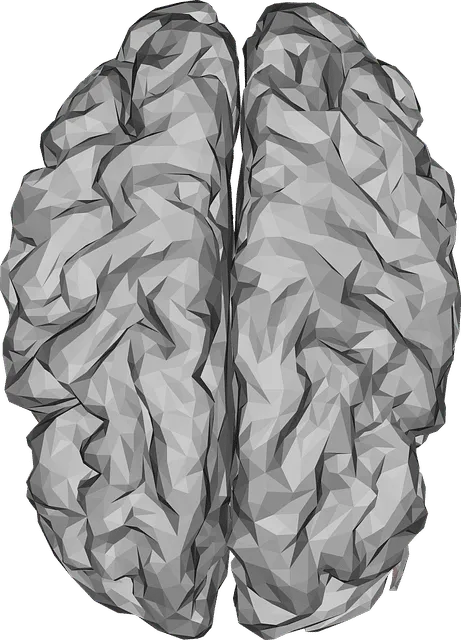 brain 3176780 640 מסיבת רווקות