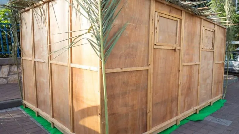 camp in Sukkot6 e1667719190677 מחנה בסוכות