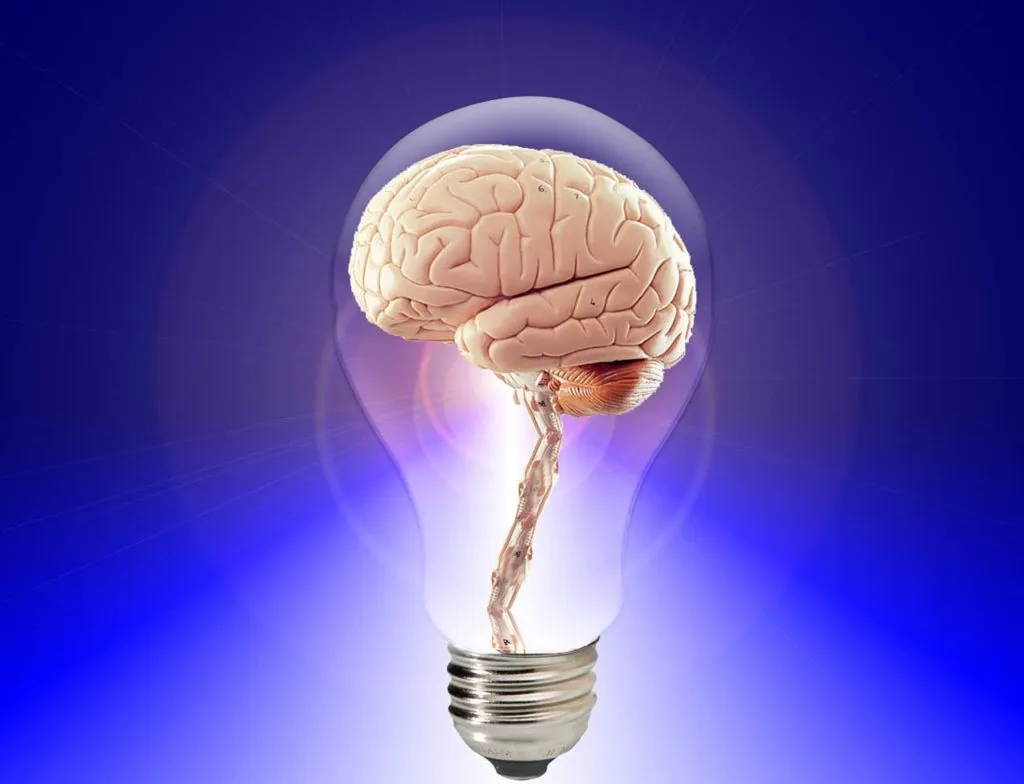 thoughts 1660668397 מוח
