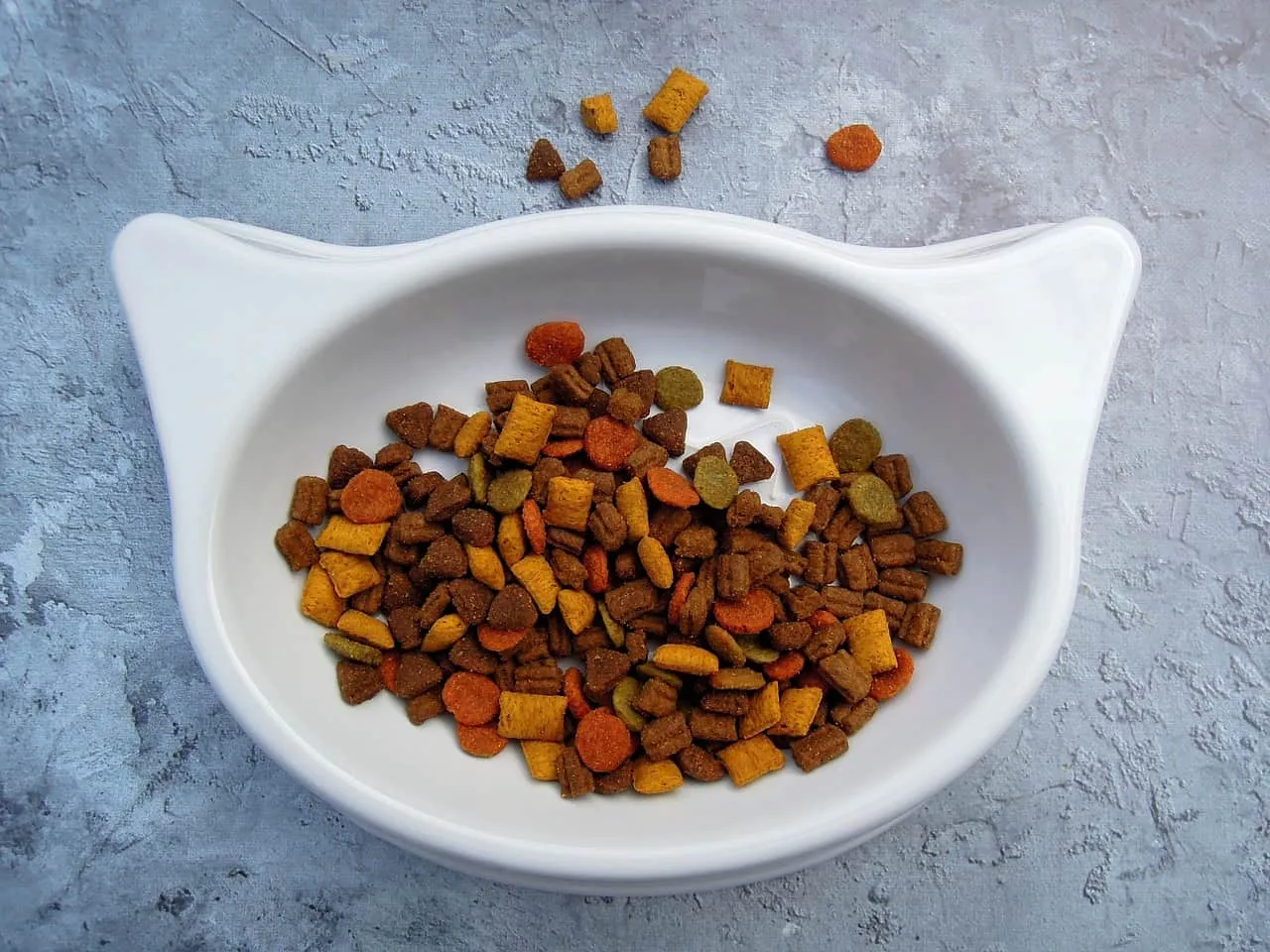 cats food 1572531509 אוכל