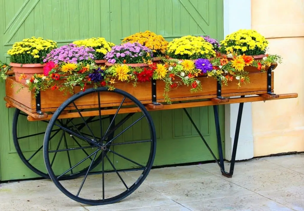 planters 1670174568 עגלה