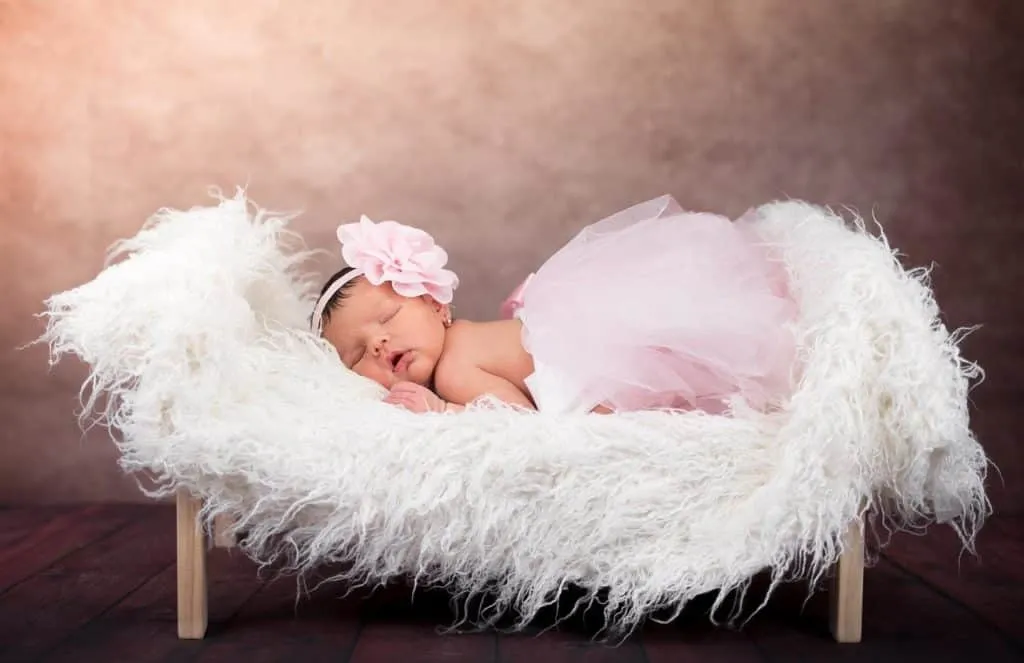 Bedding Cribs 1653909108 Bedding Cribs 1653909108
