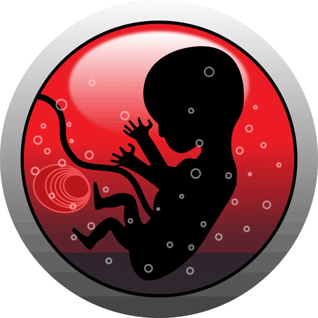 pregnancy 1578491322 תינוק בבטן