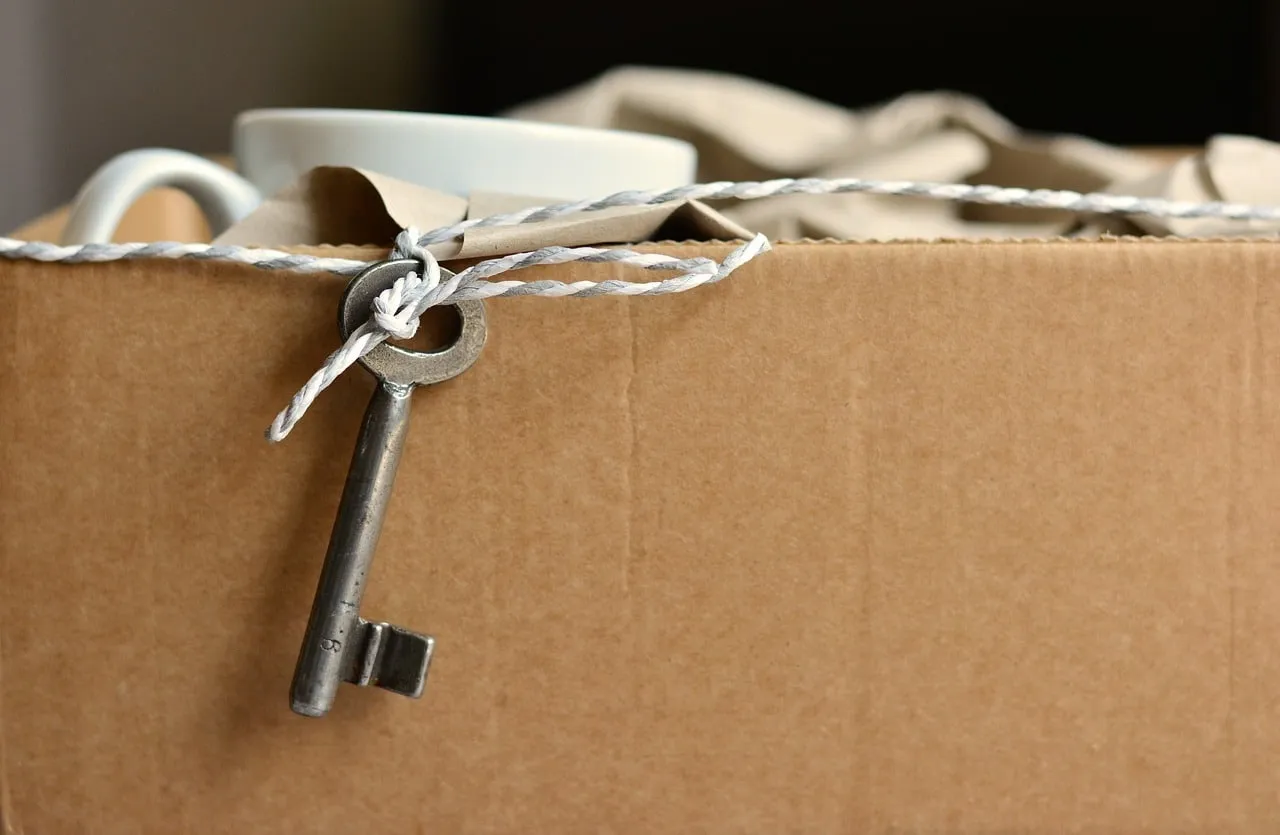 Packing of 1561835088 מפתח