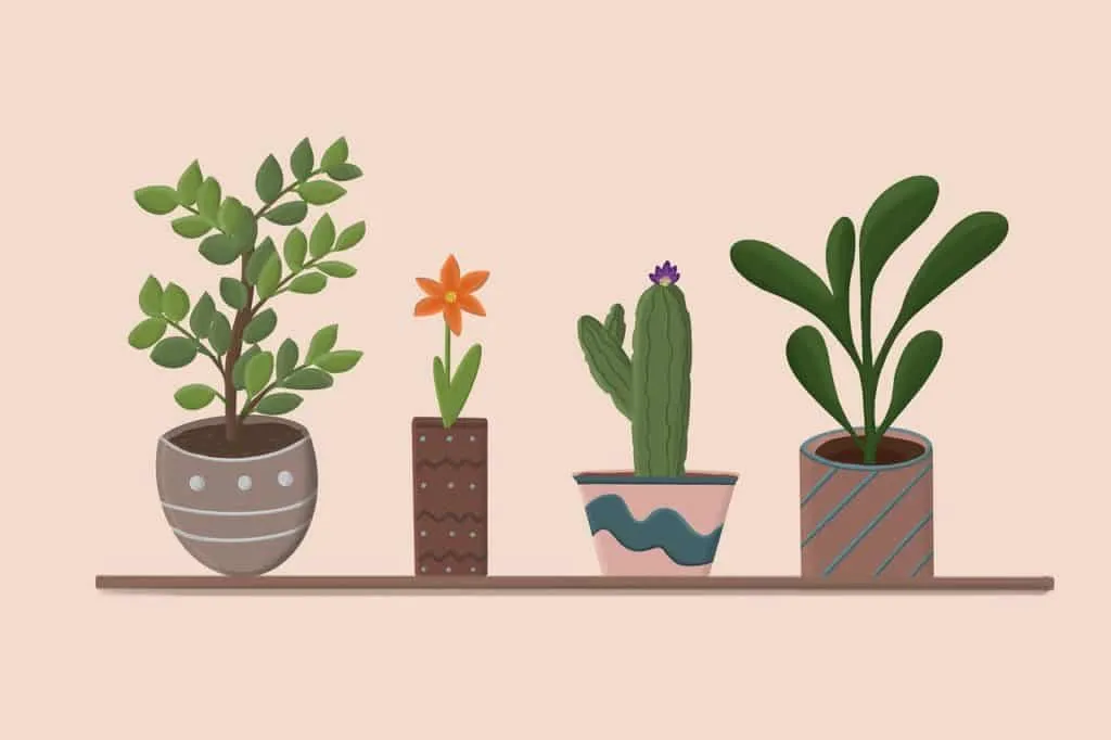 Flower pots 1641826686 אדניות