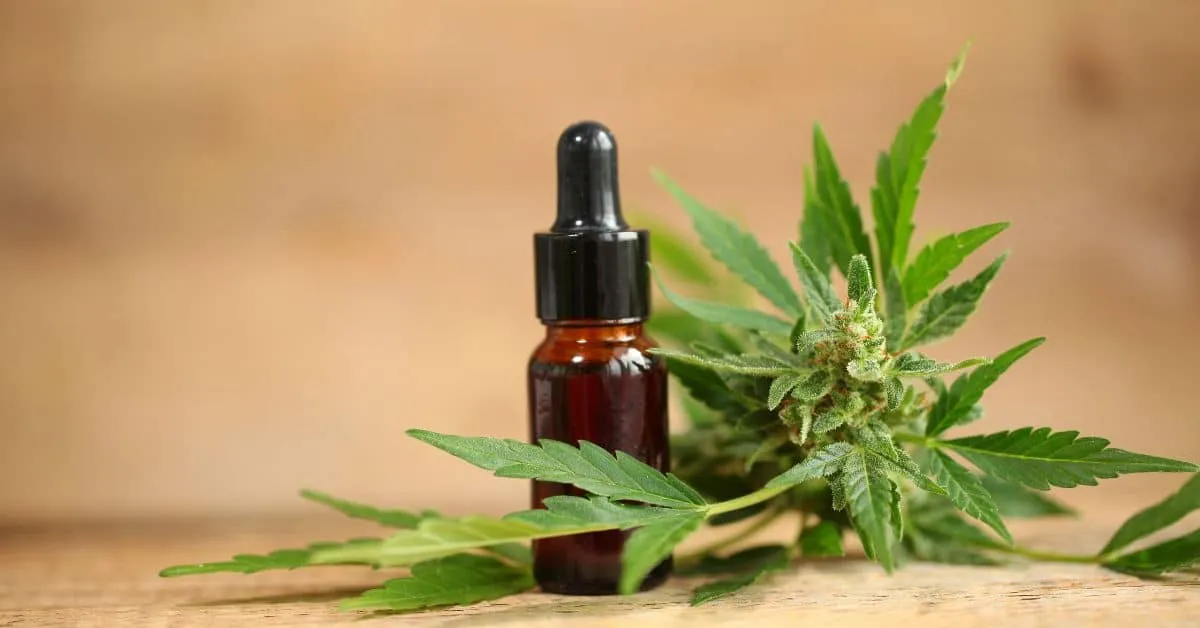 מיתוסים על CBD מה נכון ומה לא
