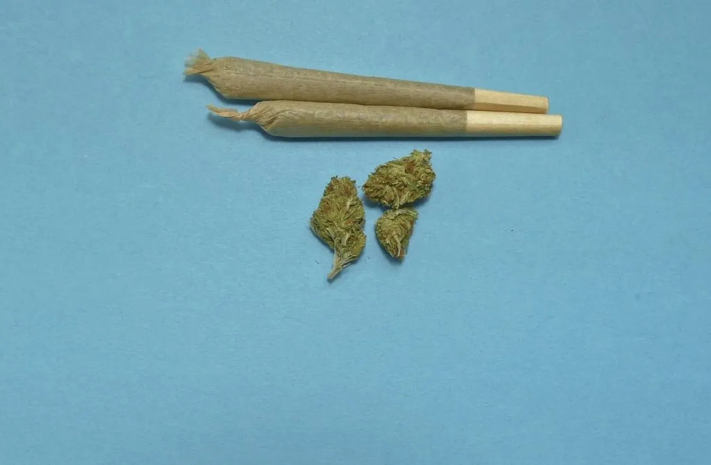 Cannabis 1642466062 ג'וינטים