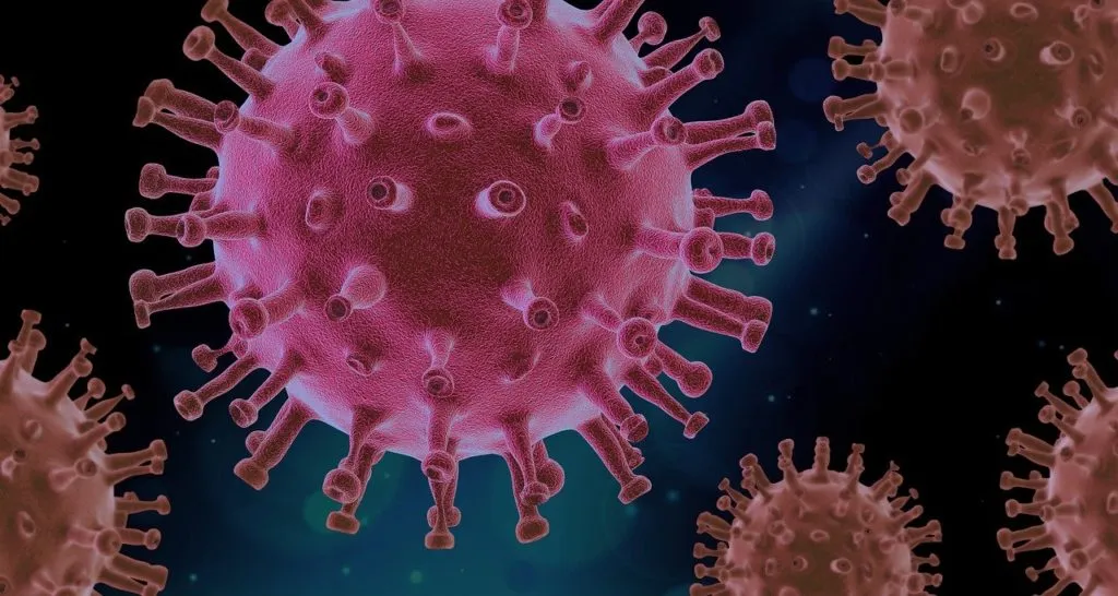 virus 1643670930 חיידקים