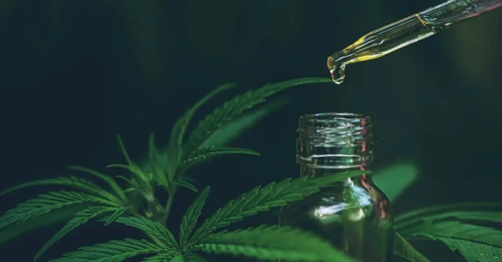 מיתוסים על CBD מה נכון ומה לא 1 מיתוסים על CBD מה נכון ומה לא