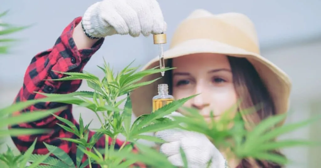 מיתוס 1 CBD הוא סם מסוכן מיתוס 1 CBD הוא סם מסוכן