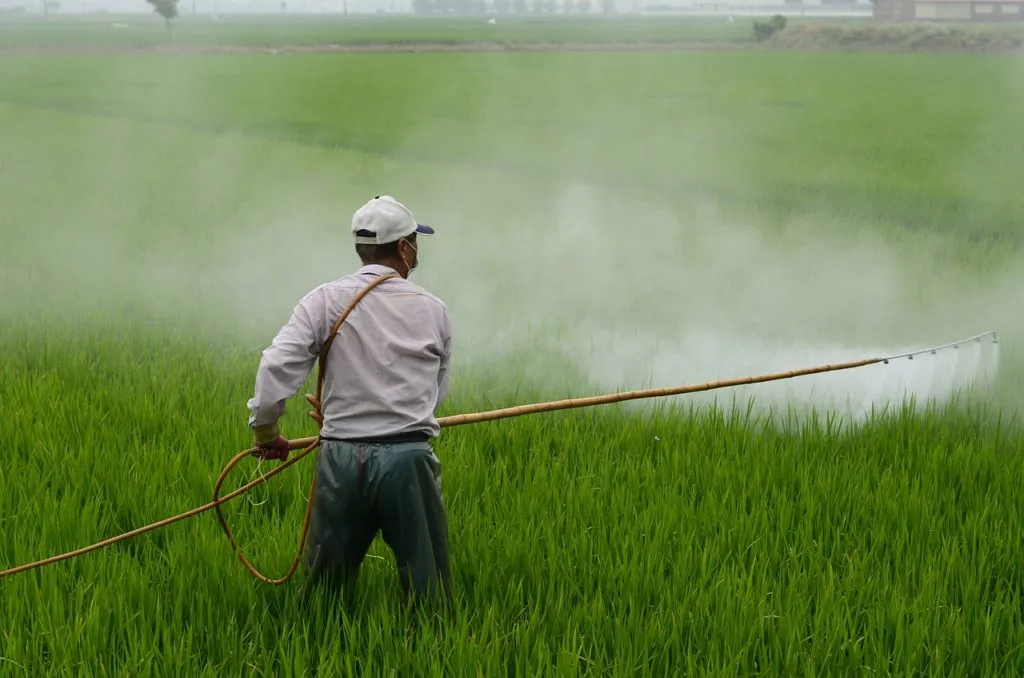 Pesticide 1636284823 מדביר בגינה