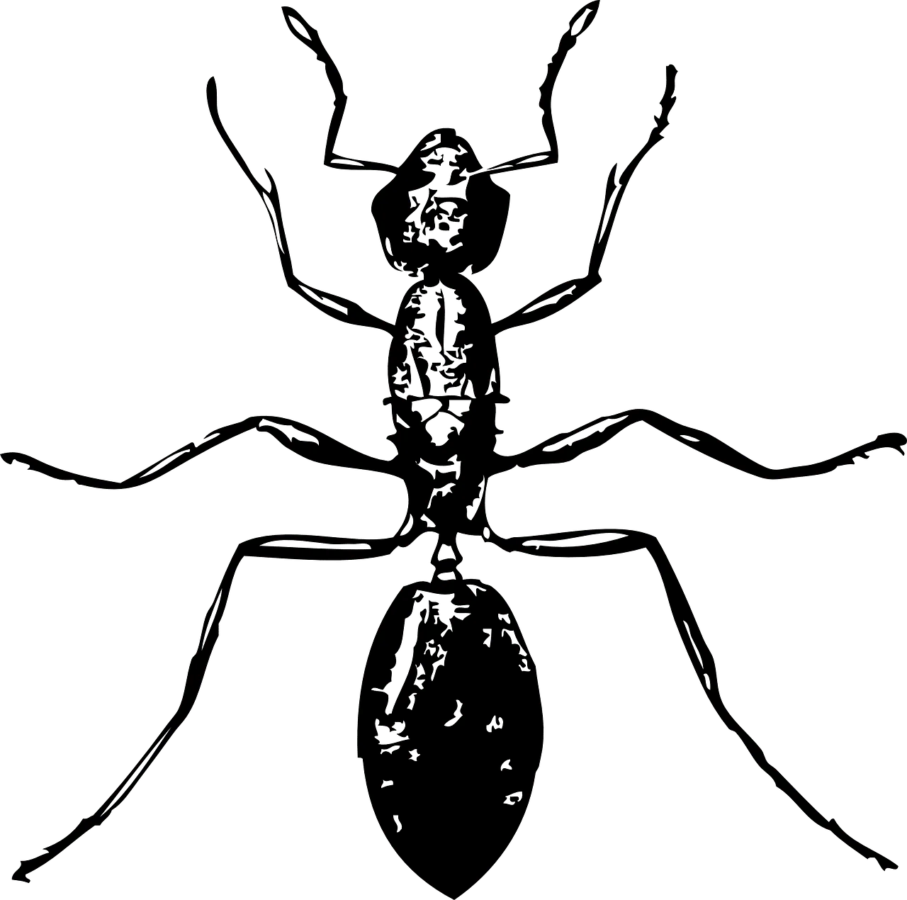 נמלה