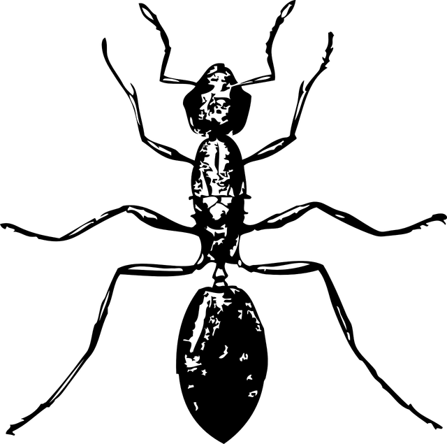 נמלה