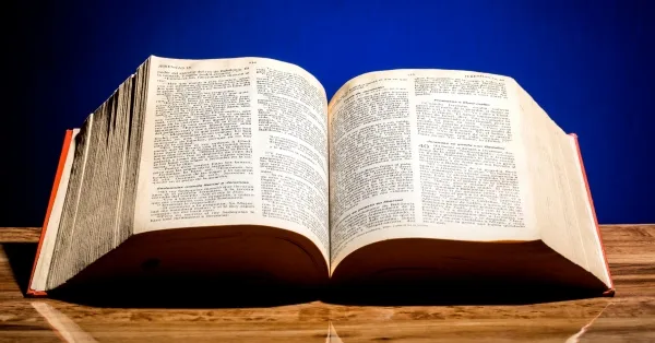 3 3 שו"ת תורת יקותיאל