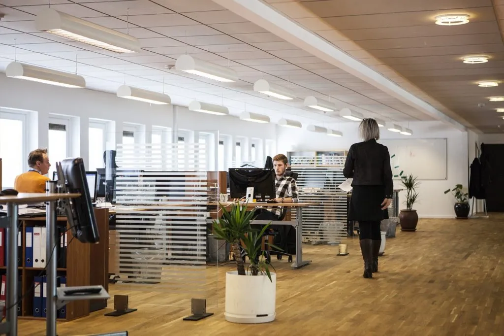 office 1644826980 משרד מחולק