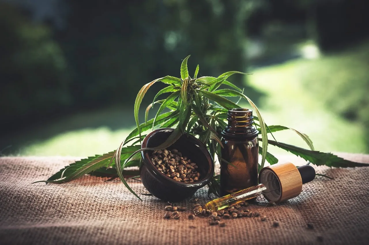 CBD, Oil
