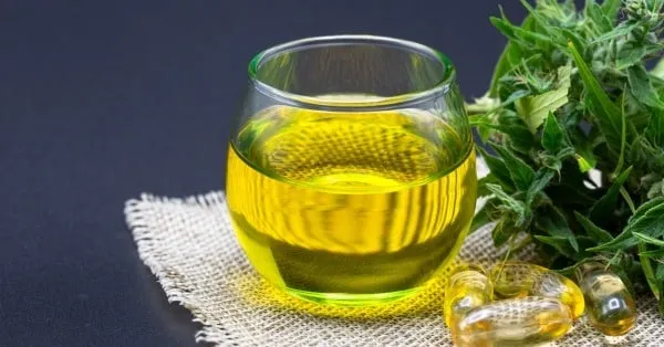 קנאביס רפואי קנאביס רפואי